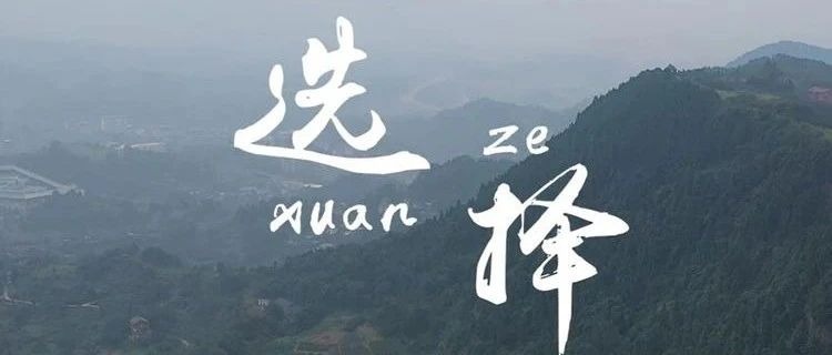 首发！我校原创微电影《选择》获奖啦！