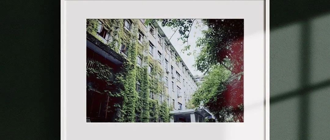 把川文理装进相框...