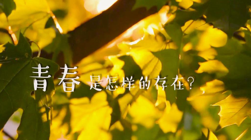 不拼博 算什么青春