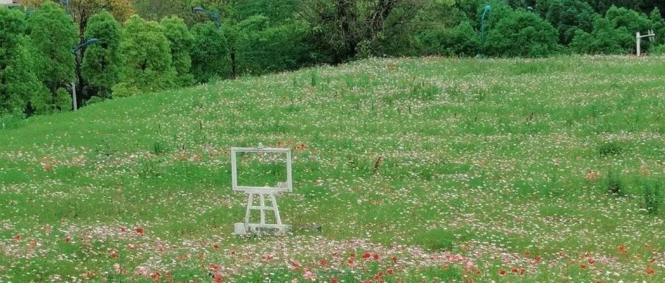 时隔2年，“她们”再次汇聚文理......