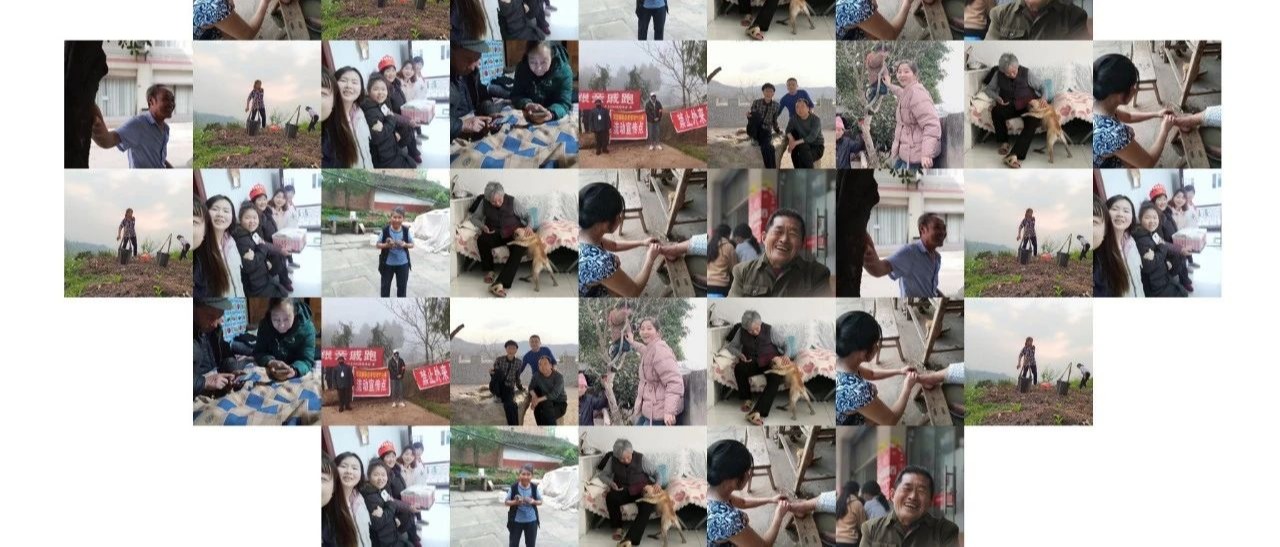 征集展示 | 陪伴是最长情的告白