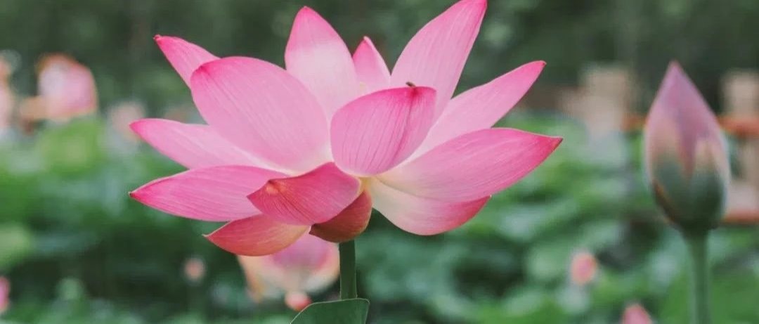 最后一天，加油，我们在川文理等你！