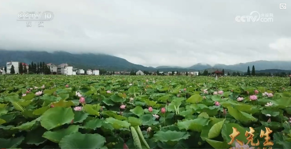 《大先生—中国教育名家列传》龚全珍