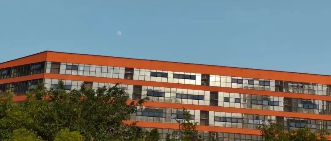 你是哪一种川文理人？